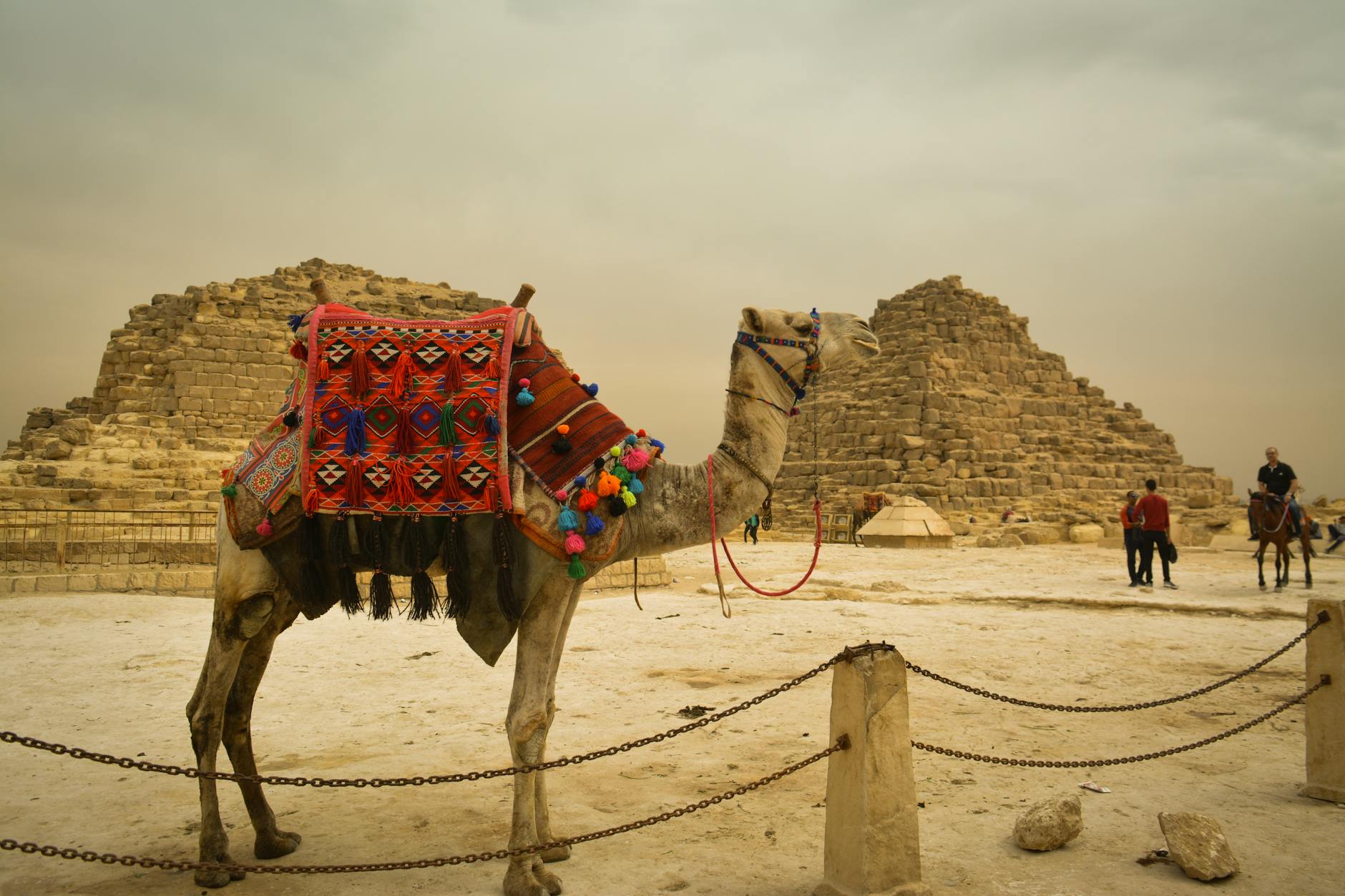 Pyramids of Giza Complete Visitor Guide — History, Tickets, and Tips 7 Tourists enjoying a camel ride with the Pyramids of Giza in the background