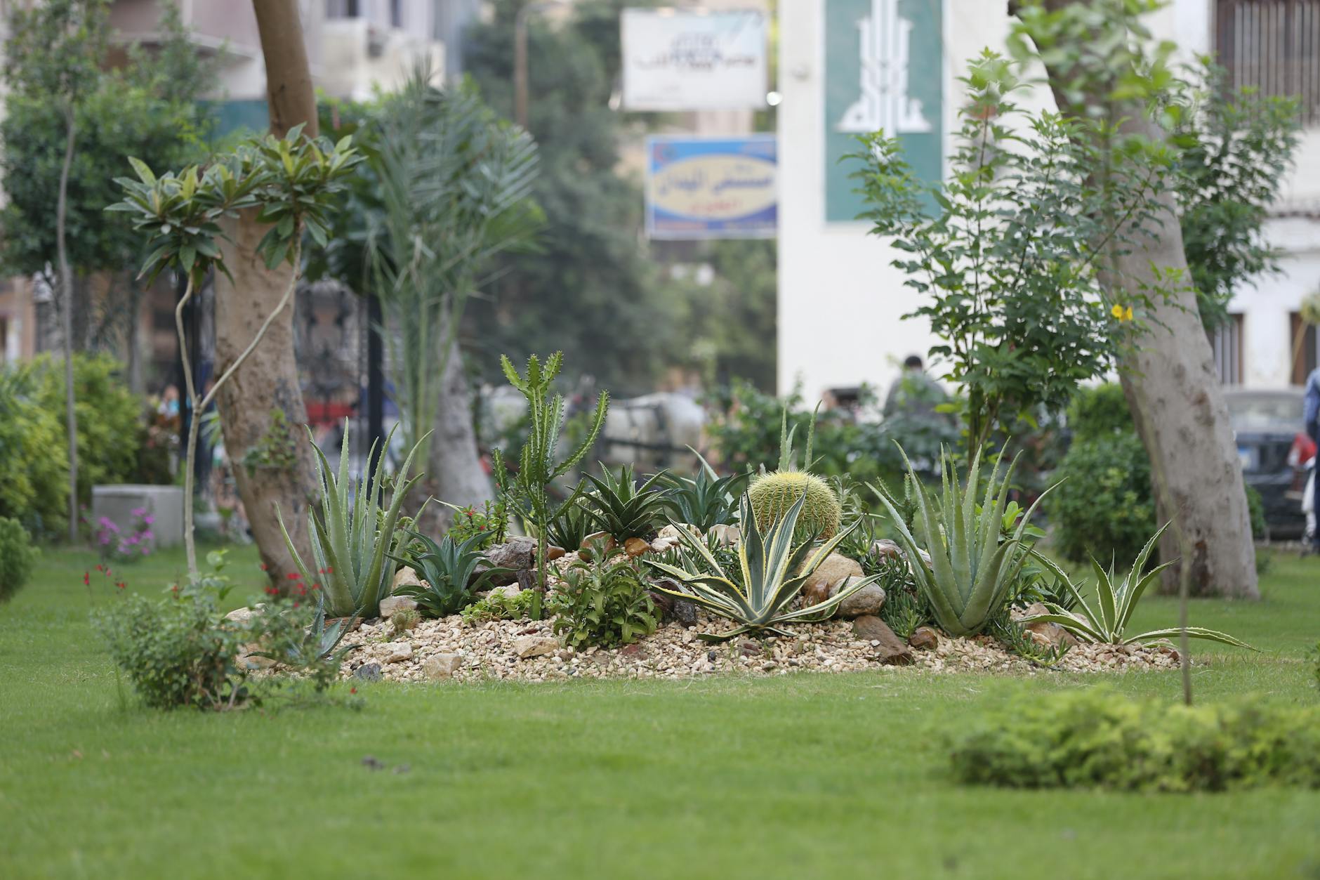 The quiet tree-lined streets of Garden City near the Nile in Cairo