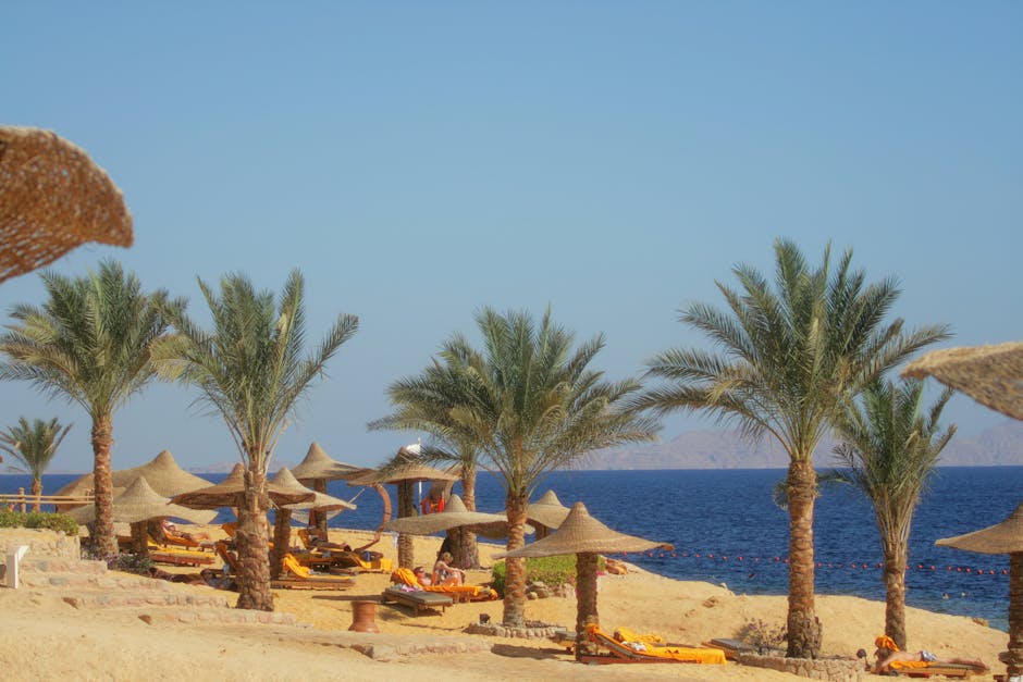 Alexandria Day Trip from Cairo: Coastal Getaway 6 Mediterranean beach