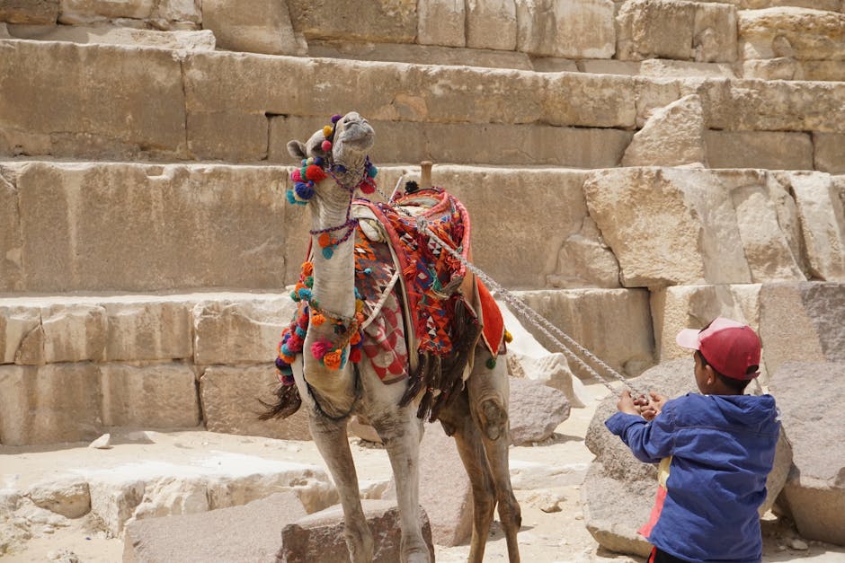 Cairo with Kids: Family Travel Guide 5 Child on camel ride