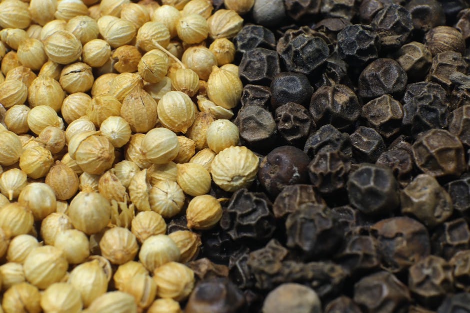 Spice Market Cairo Guide: Aromas & Flavors 4 Cumin and coriander seeds