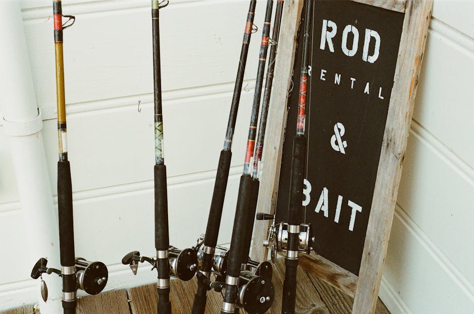Nile Fishing Cairo: Angling Experiences 5 Fishing equipment