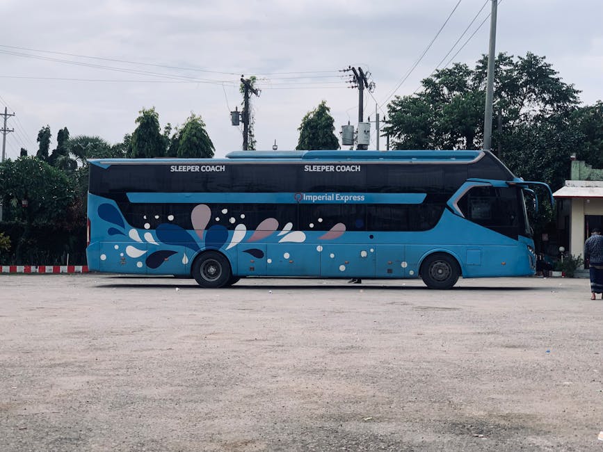 Cairo to Alexandria Transportation: Route Options 4 Luxury coach bus