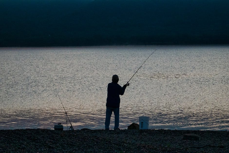 Nile Fishing Cairo: Angling Experiences 6 Lake fishing
