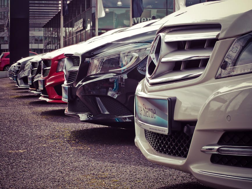 Car rental agency lot