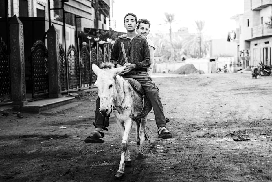 Cairo Photography Rules: Etiquette & Regulations 4 Street photography