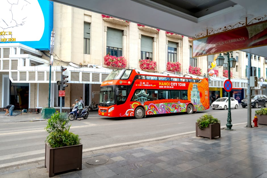 Cairo Bus System Guide: Public Bus Travel 6 Tourist sightseeing bus