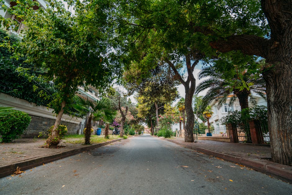 zamalek street