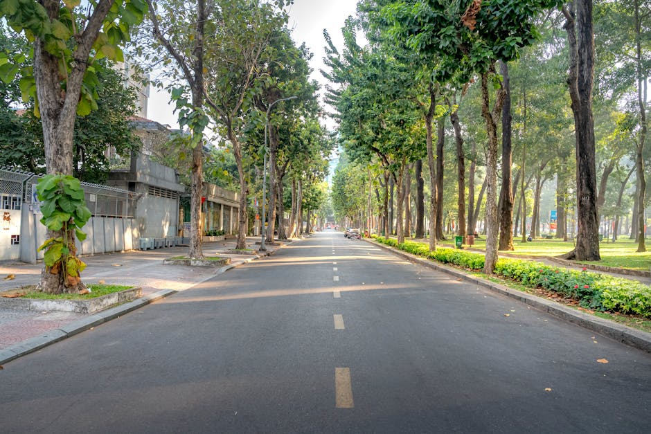 Nile Corniche Walking Guide: Riverside Strolling 5 Zamalek tree-lined