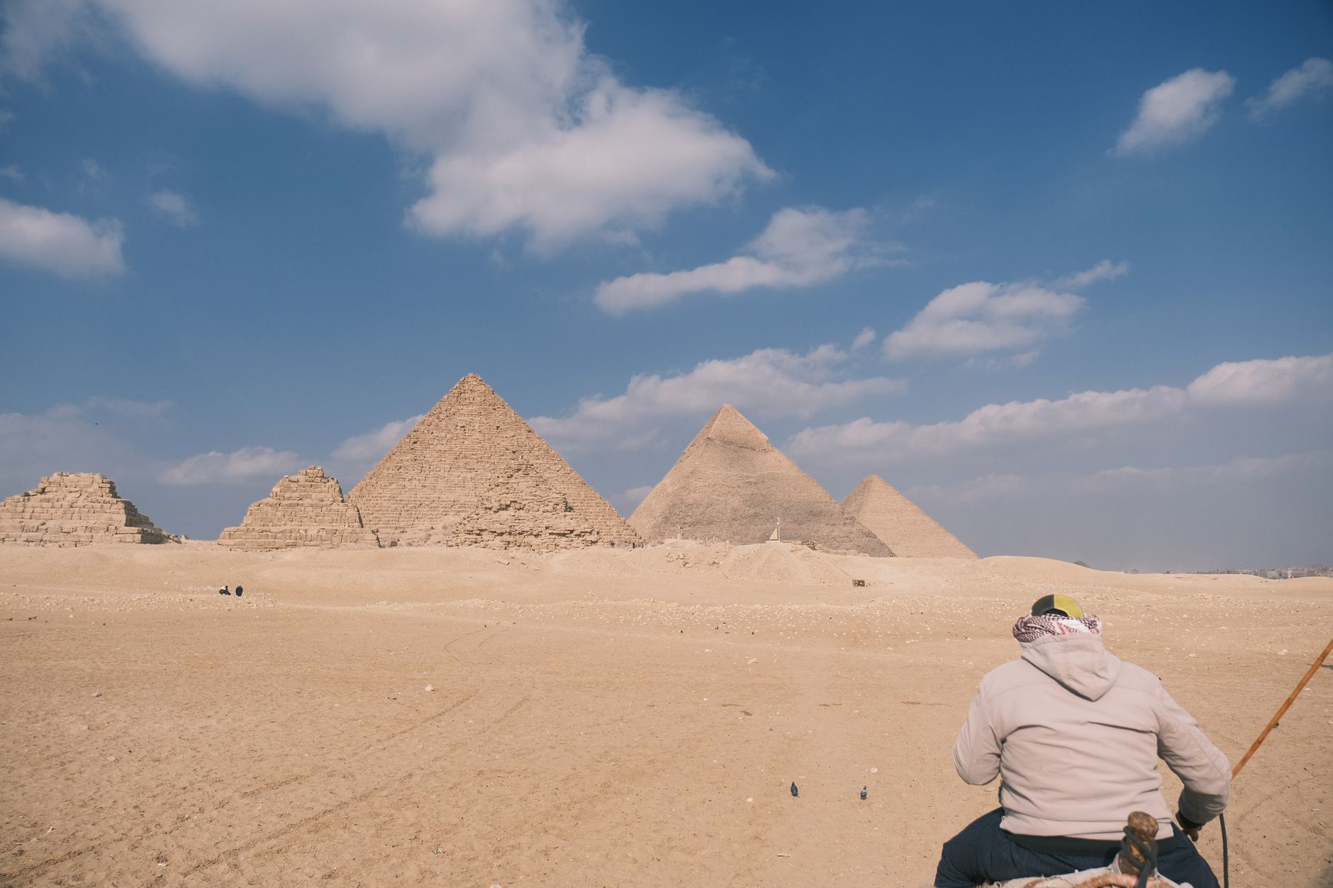 Camel and rider crossing the desert in front of the Pyramids of Giza, Egypt