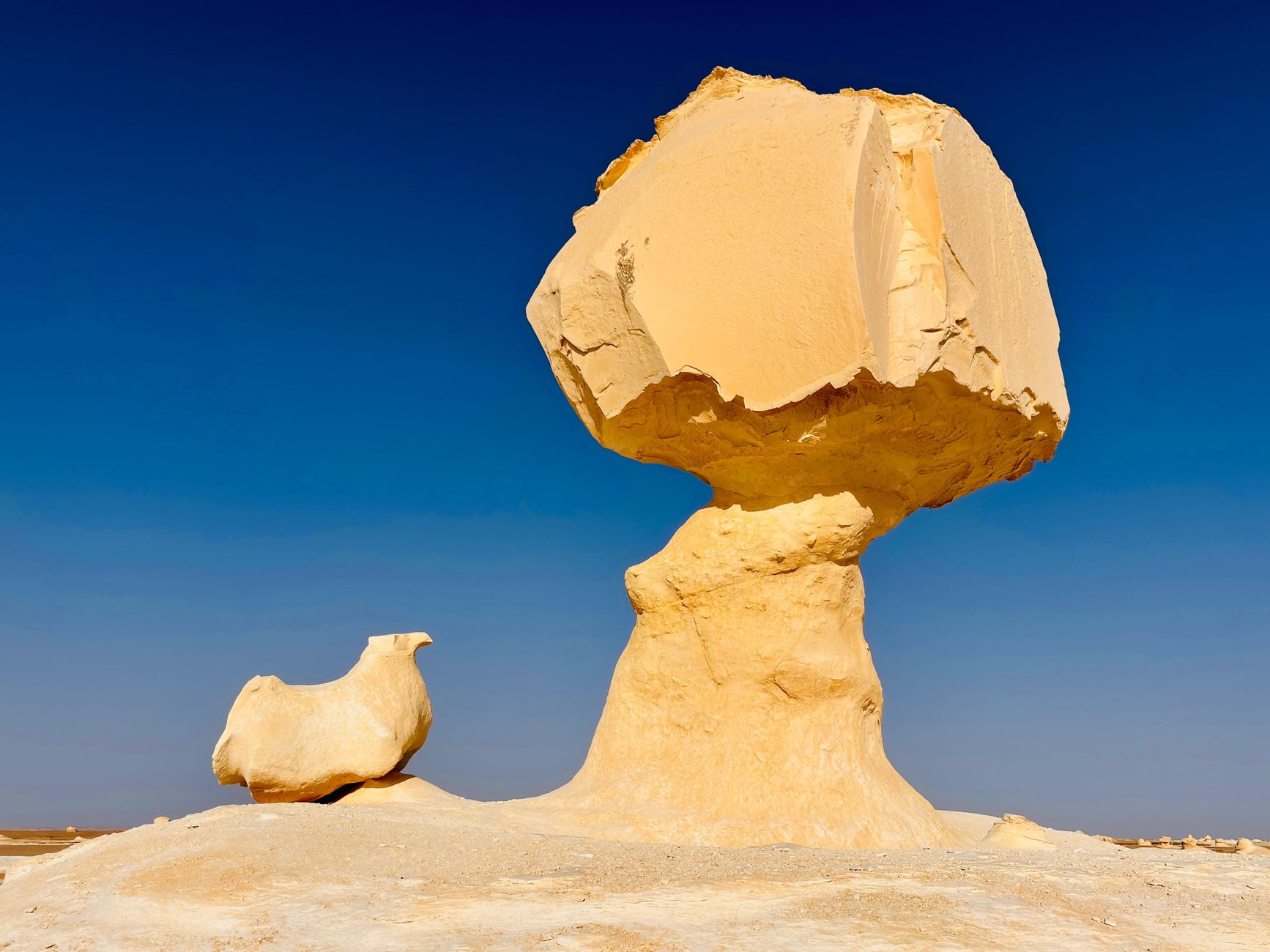 Day Trips and Excursions from Cairo 6 Wind-carved white chalk rock formations in the White Desert of Egypt near Bahariya