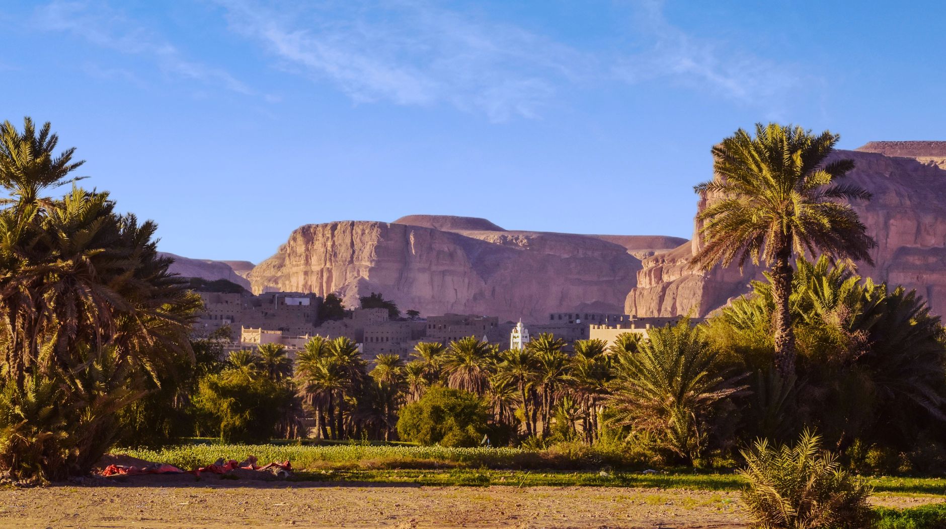 date palm groves and desert escarpment at bahariya oasis cairo