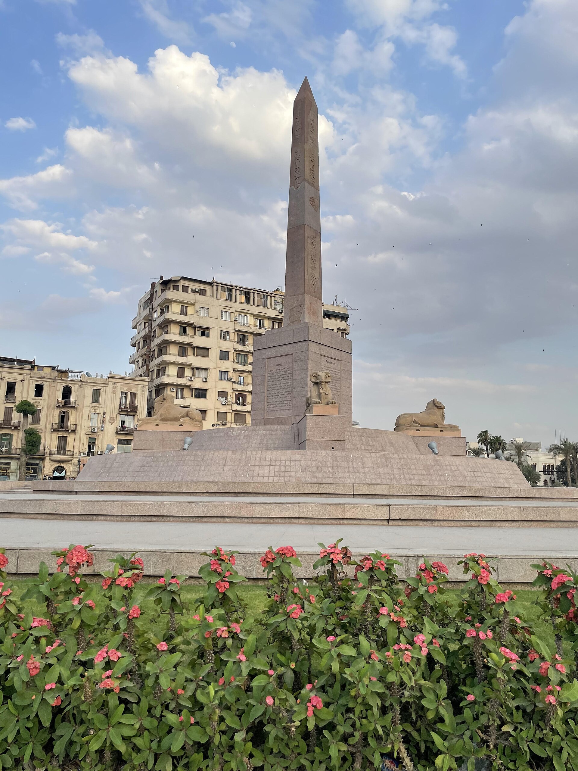 The obelisk and its stone base in the middle of Tahrir Square in Cairo, with apartment blocks behind and pink flowers in the foreground